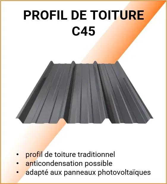 Vignette Profil C45