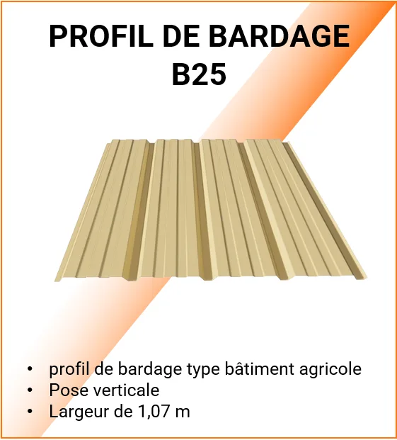 Vignette B25
