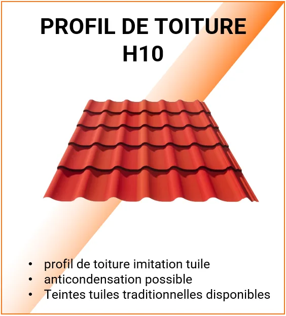 Vignette H10